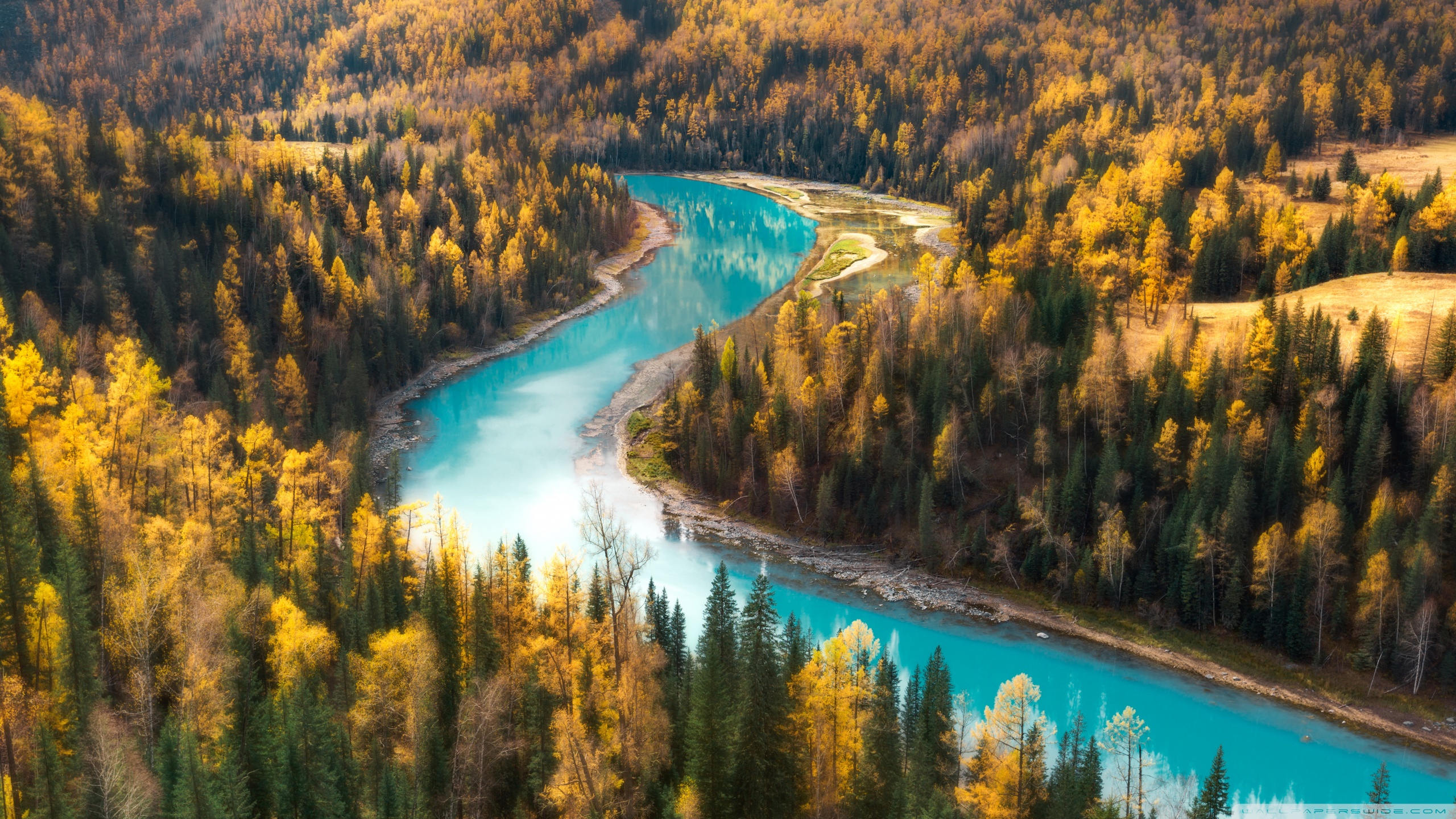 Bosque y río