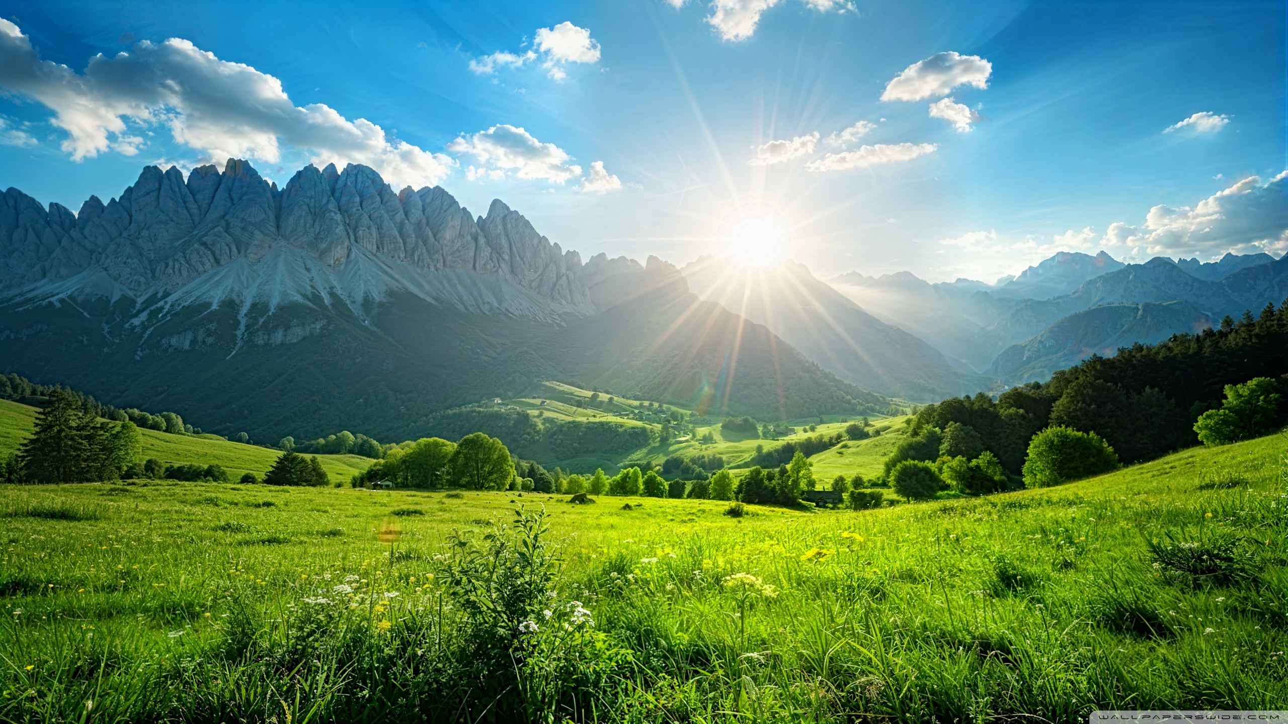 Paisaje verde